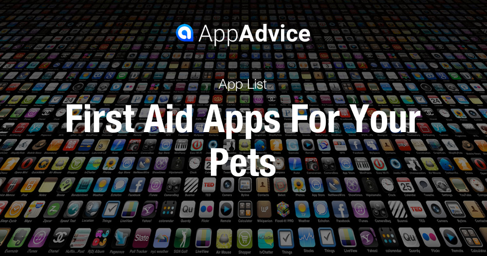 First Aid For Your Pets