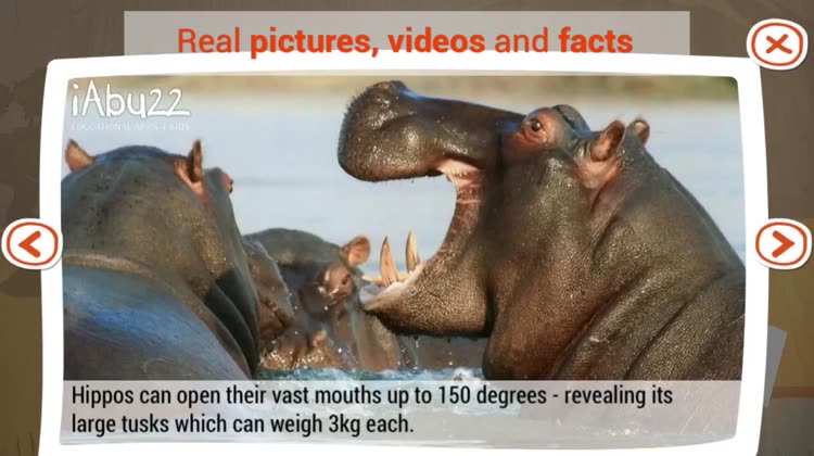 Animals puzzle game for preschool kids - learn words and sounds by