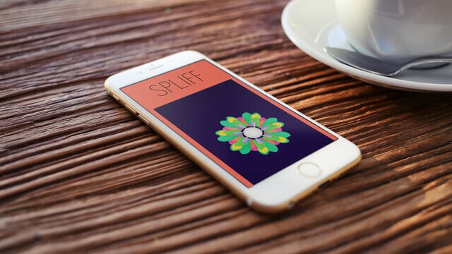 Interact With Flowers and Make Music Using Spliff