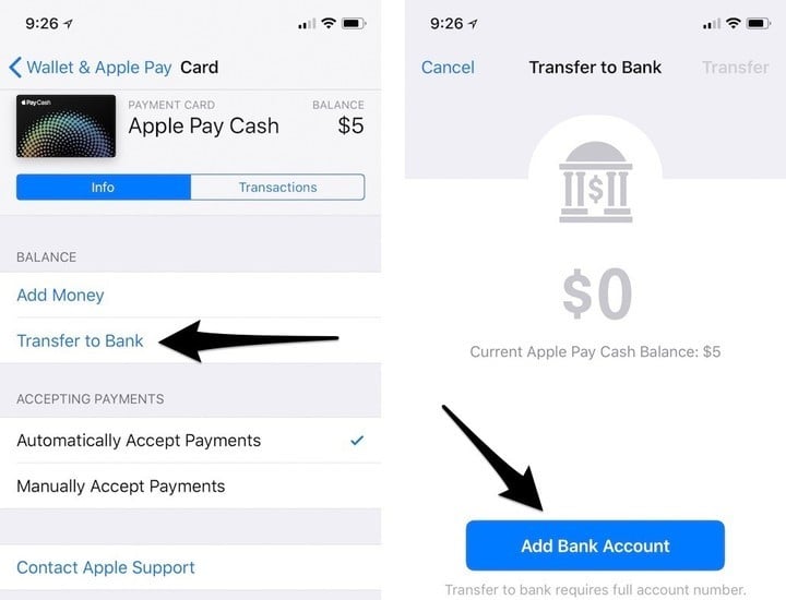 How to Send and Receive Money Using Apple Pay Cash in Messages