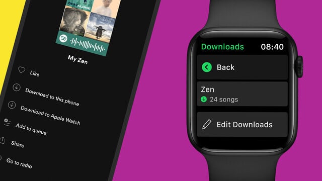 Music Downloads Come to Spotify’s Apple Watch App